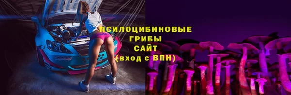 дмт Алзамай