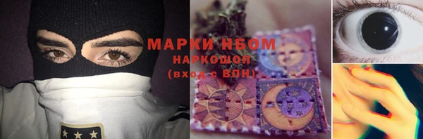 дмт Алзамай