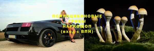 дмт Алзамай