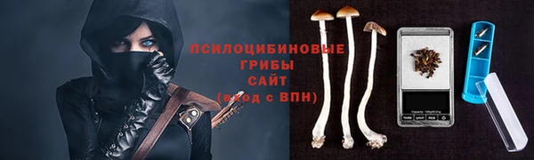 дмт Алзамай