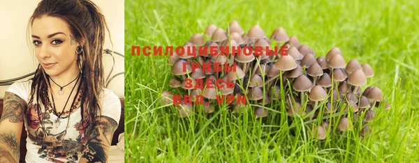 шишки Алексин