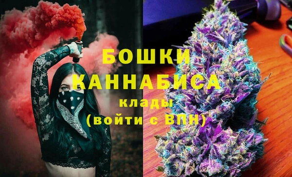 дмт Алзамай
