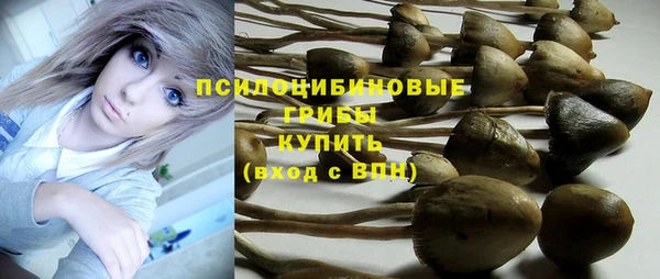 шишки Алексин