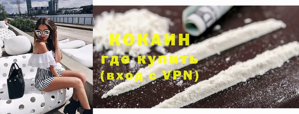 шишки Алексин