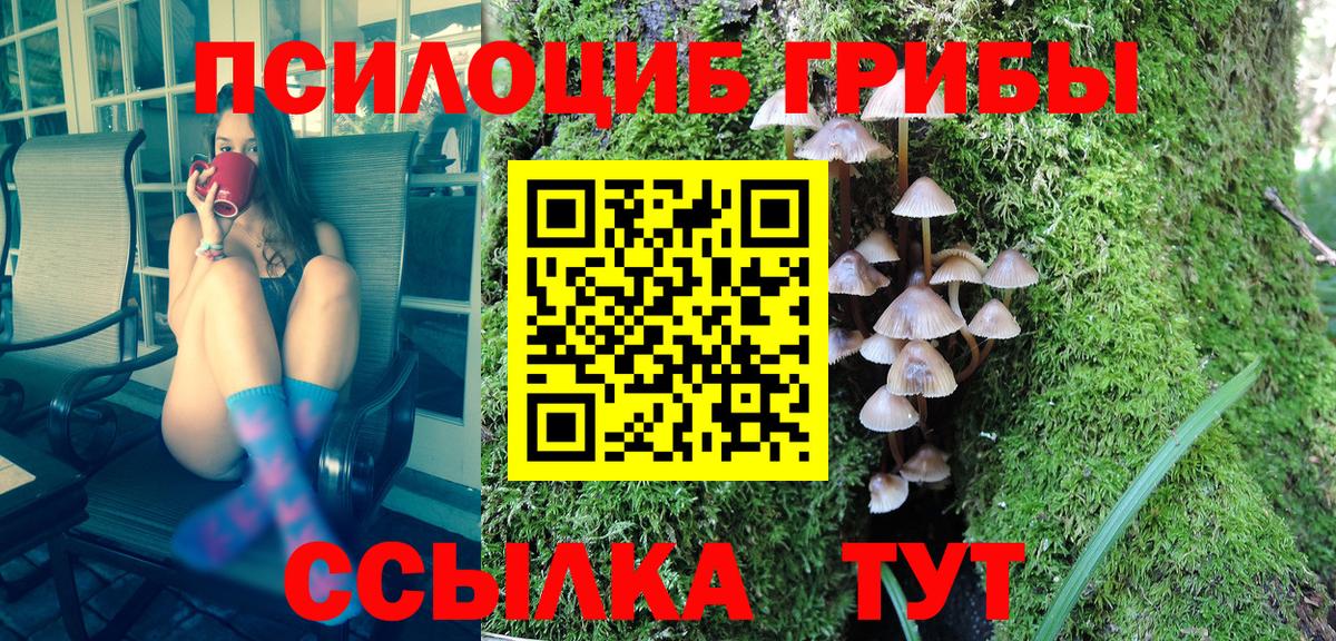 Псилоцибиновые грибы GOLDEN TEACHER Тобольск